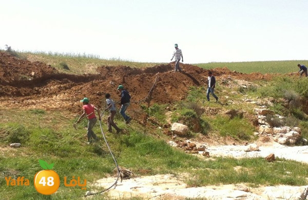 naqab lud 0329 (3).jpg